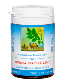 015 OBNOVA SP�LEN� ZEM� ZUO JIN WAN - BCX