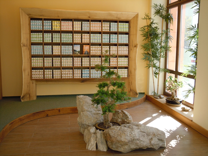 D�m ��nsk� medic�ny