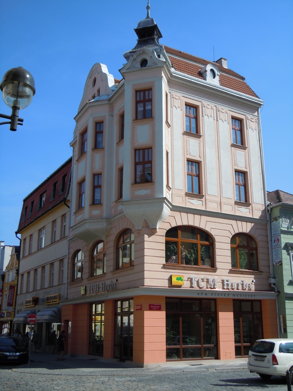 D�m ��nsk� medic�ny